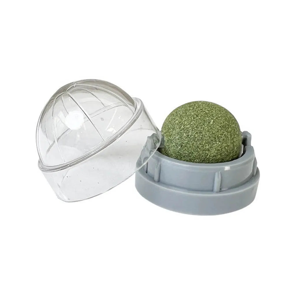Interactive Wall-Mounted Catnip Ball for Cats