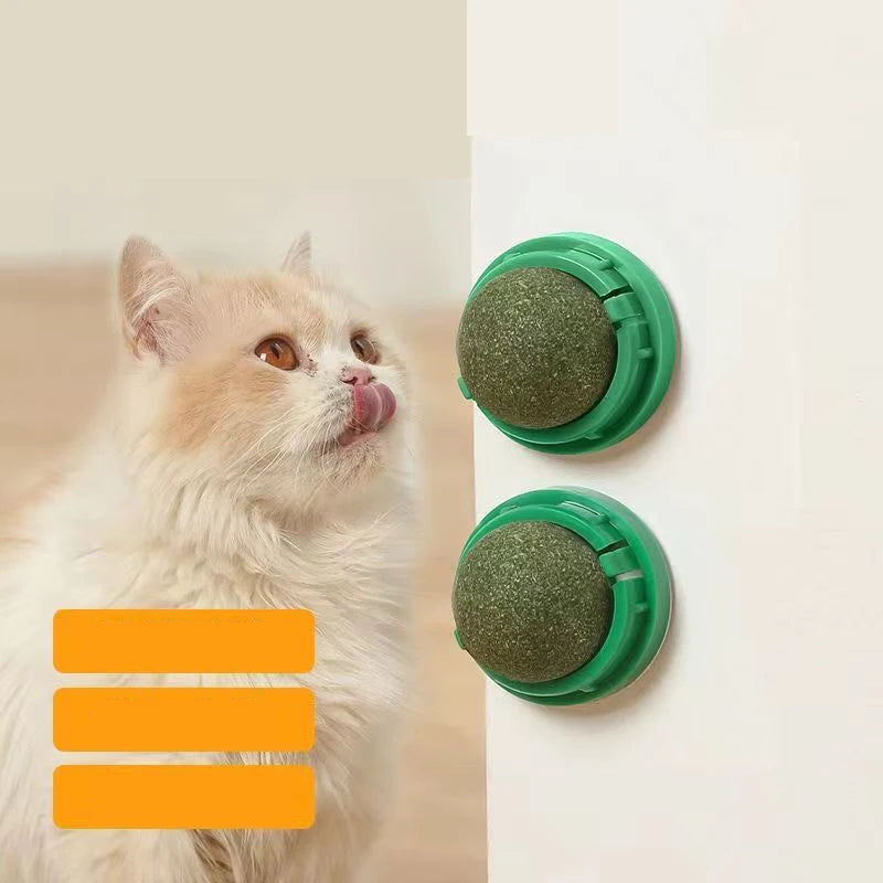 Interactive Wall-Mounted Catnip Ball for Cats
