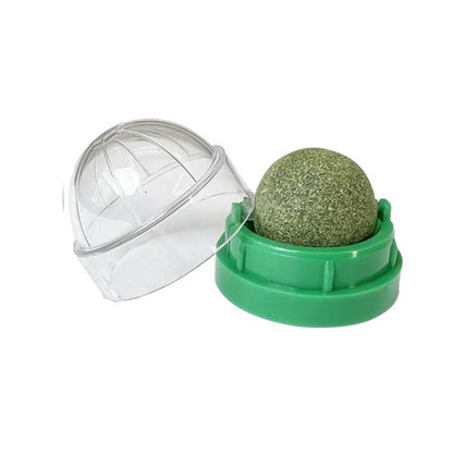 Interactive Wall-Mounted Catnip Ball for Cats