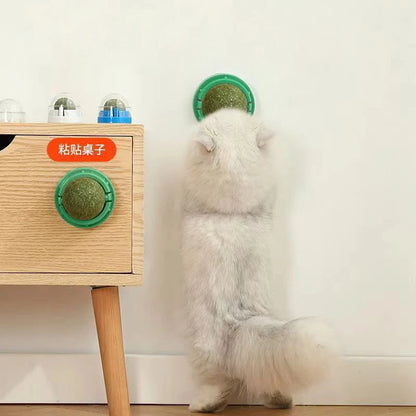 Interactive Wall-Mounted Catnip Ball for Cats