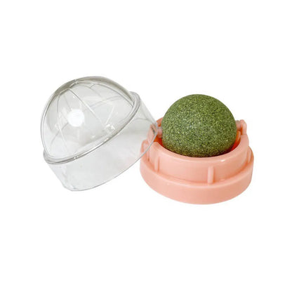 Interactive Wall-Mounted Catnip Ball for Cats