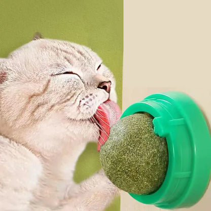 Interactive Wall-Mounted Catnip Ball for Cats