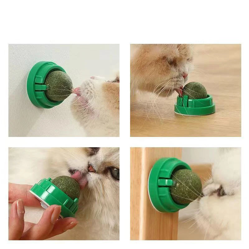 Interactive Wall-Mounted Catnip Ball for Cats