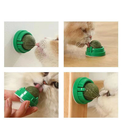Interactive Wall-Mounted Catnip Ball for Cats